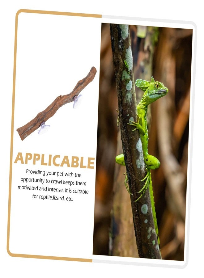BUGUUYO Grape Wood Stand Bearded Dragon Toy Suction Tree Branch Lizard Supplies Terrarium Decor - Image 3